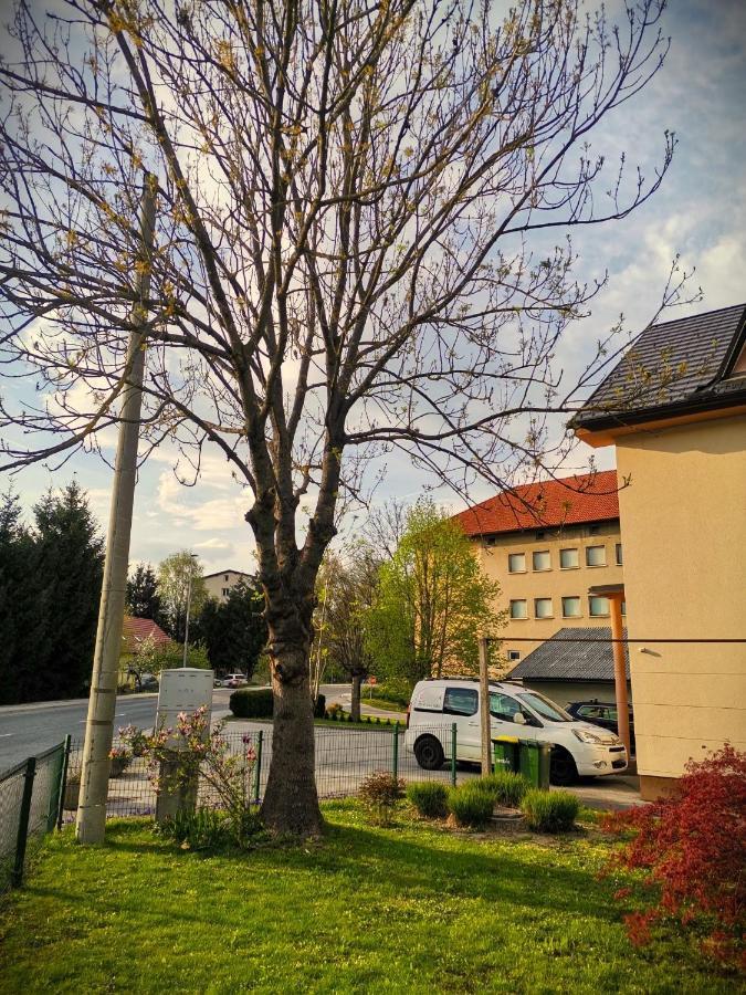 Apartma Vila Tara Prebold Eksteriør bilde