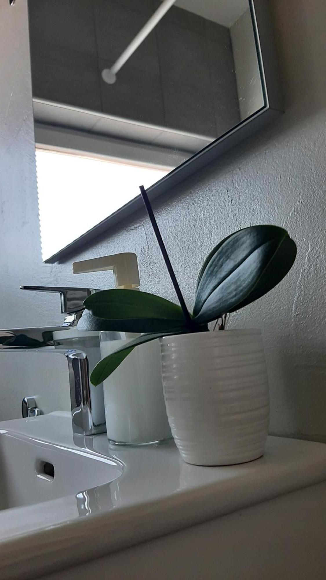 Apartma Vila Tara Prebold Eksteriør bilde